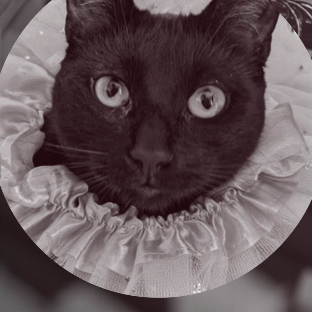 Meet your Posher, Jet